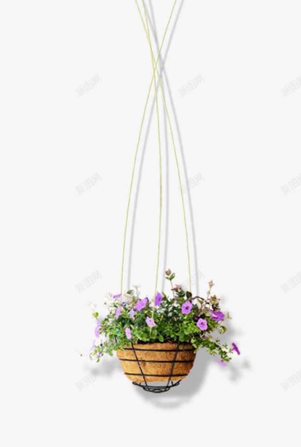 吊篮花篮png免抠素材_新图网 https://ixintu.com 吊篮 花 花卉 花篮