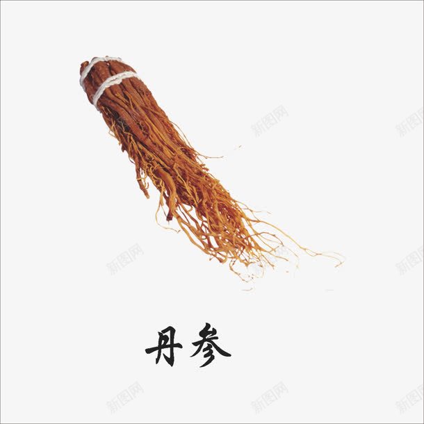 丹参png免抠素材_新图网 https://ixintu.com 中药 本草纲目 草药 药材