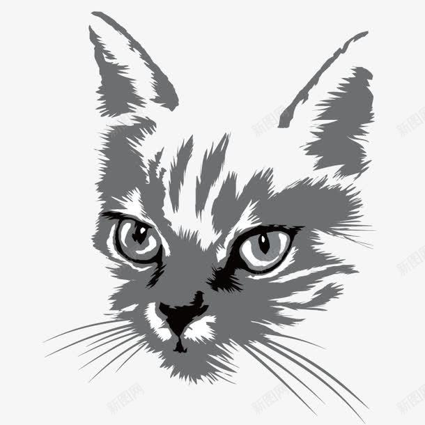 猫眼兽瞳犀利眼神png免抠素材_新图网 https://ixintu.com png格式 压迫 犀利的眼神 犀利眼神 猫眼