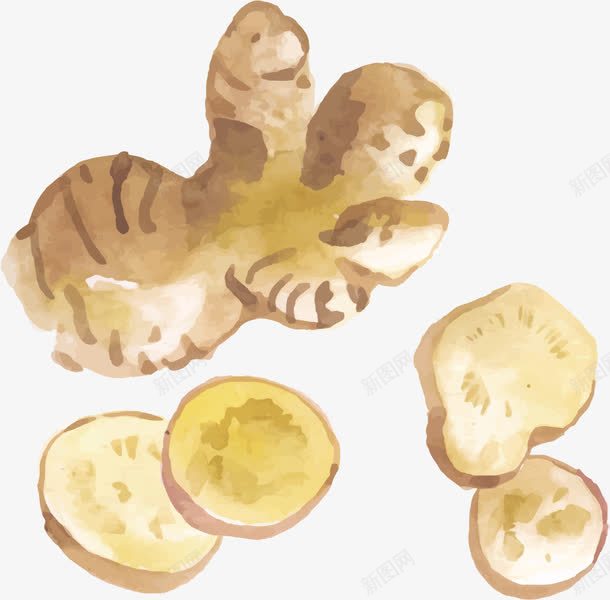 生姜切片png免抠素材_新图网 https://ixintu.com 彩绘 手绘 矢量素材 老姜 食材