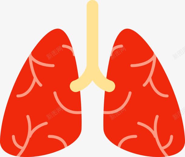 红色肺部图标png_新图网 https://ixintu.com 五脏六腑 人体 人体五脏 人体内脏器官 人体器官 内脏 卡通人体器官图标 器官 心 肝脏 肺 胃