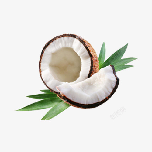 椰子夏季水果果肉png免抠素材_新图网 https://ixintu.com 夏季 果肉 椰子 水果