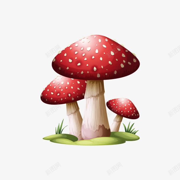 几棵红白色的蘑菇png免抠素材_新图网 https://ixintu.com 白色 矢量蘑菇 红色 绿色 菌类 蘑菇