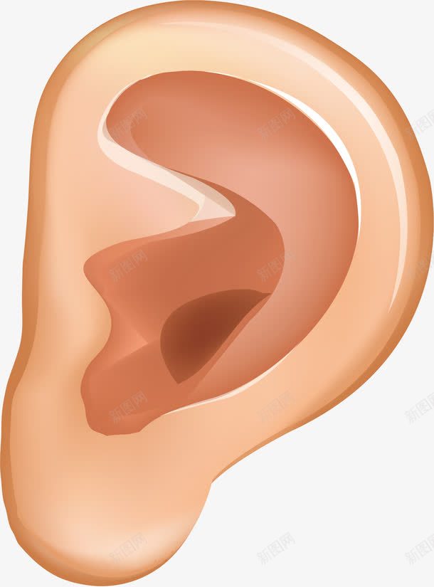 耳朵卡通png免抠素材_新图网 https://ixintu.com 人体 体检 医药 医院 卡通 器官 左耳 生物医药 诊疗