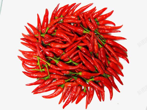 食物图案食物卡通辣椒俯视图png免抠素材_新图网 https://ixintu.com 俯视 卡通蔬菜素材 手绘食物 蔬菜素材 辣椒 食物卡通 食物图片 食物矢量图