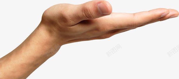 手心向上手势png免抠素材_新图网 https://ixintu.com 向上 手势 手心