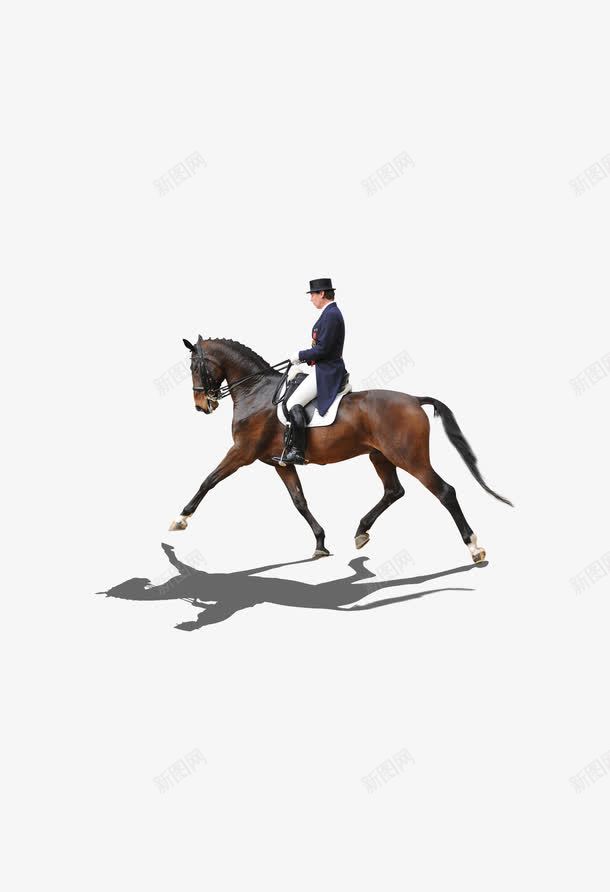 骑士骑马骑行png免抠素材_新图网 https://ixintu.com 草原骑马 马术 骑行 骑马