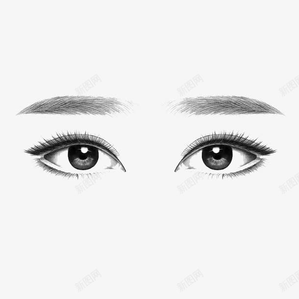 纹眉广告png免抠素材_新图网 https://ixintu.com 半永久纹眉 定妆纹眉 纹眉广告 纹绣PNG素材 纹绣素材