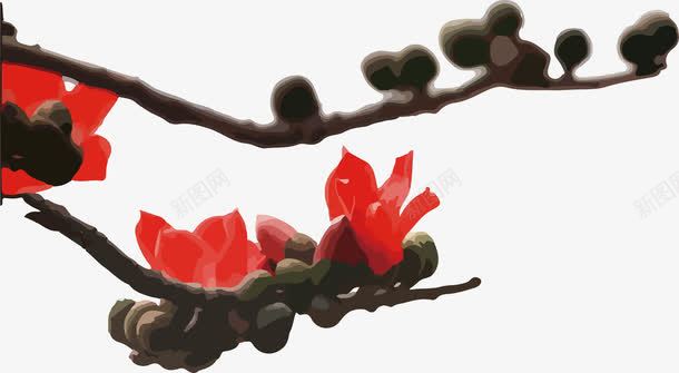 正面拍摄木棉花的繁茂png免抠素材_新图网 https://ixintu.com 拍摄 摄影 木棉花 木棉花树 树枝 棕色 植物 繁茂 红色