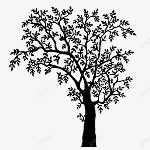 黑白树枝树木png免抠素材_新图网 https://ixintu.com 冰冷 剪影 枯藤老树 植物 没有叶子 黑白