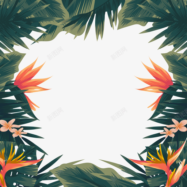 天堂鸟背景png免抠素材_新图网 https://ixintu.com PNG免抠图下载 夏天 夏日 热带 绿叶 背景