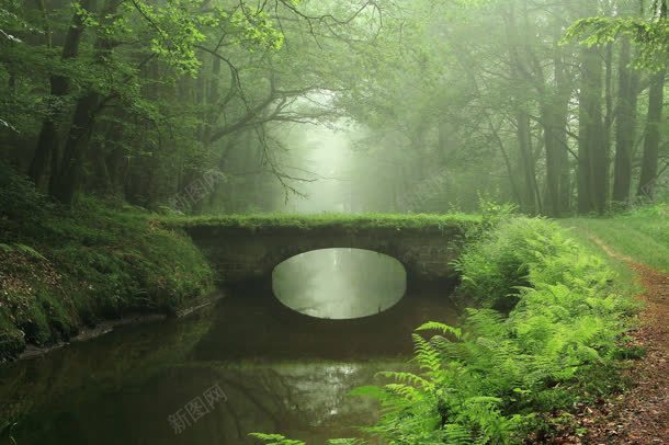森林草地道路水波jpg设计背景_新图网 https://ixintu.com 森林 水波 草地 道路
