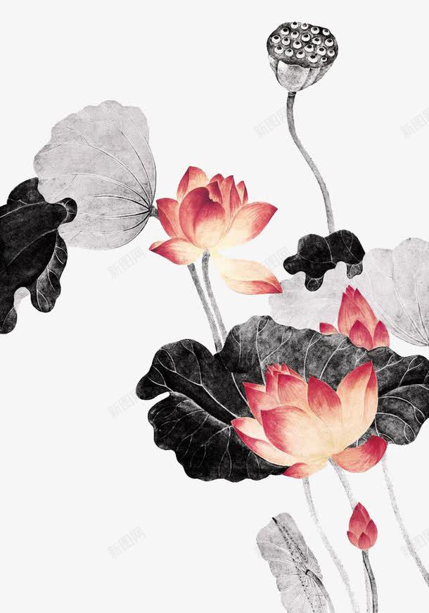 水墨画荷花png免抠素材_新图网 https://ixintu.com png图片 水墨 水墨画 荷叶 荷花