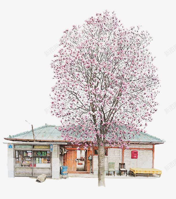 玉兰树下的杂货店png免抠素材_新图网 https://ixintu.com 便利店 便利店招牌 手绘 杂货 杂货店 玉兰树 超市