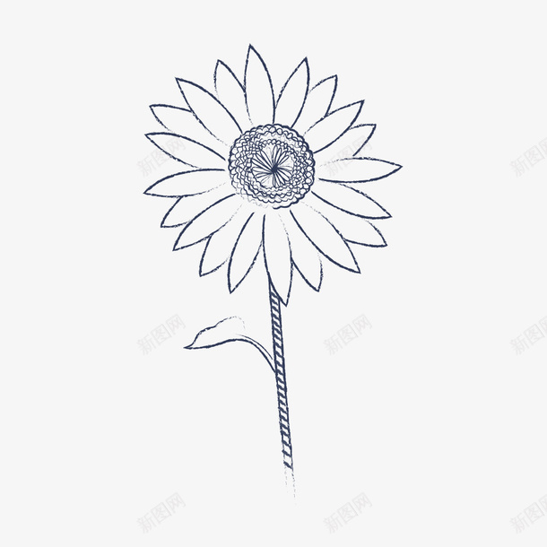 手绘太阳花png免抠素材_新图网 https://ixintu.com 一束太阳花 向阳花 太阳花 插图 涂色底画 简图 花朵 铅笔画