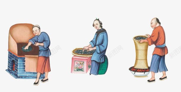 采茶工艺过程手绘图案png免抠素材_新图网 https://ixintu.com 工艺 彩绘风格 手绘风格 茶叶制作 装饰图案 过程 采茶 采茶手绘