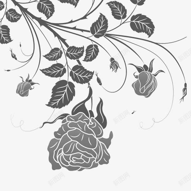 灰色蔷薇png免抠素材_新图网 https://ixintu.com 底纹 灰色 花边 蔷薇