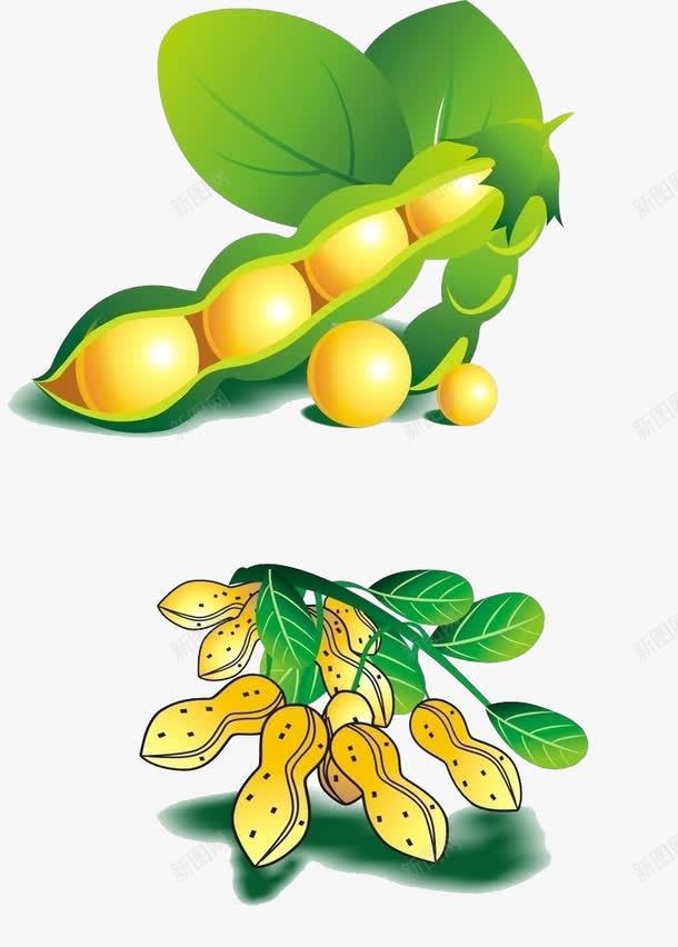 黄豆和花生png免抠素材_新图网 https://ixintu.com 卡通 绿叶 花生 落花生 黄豆 黄豆荚