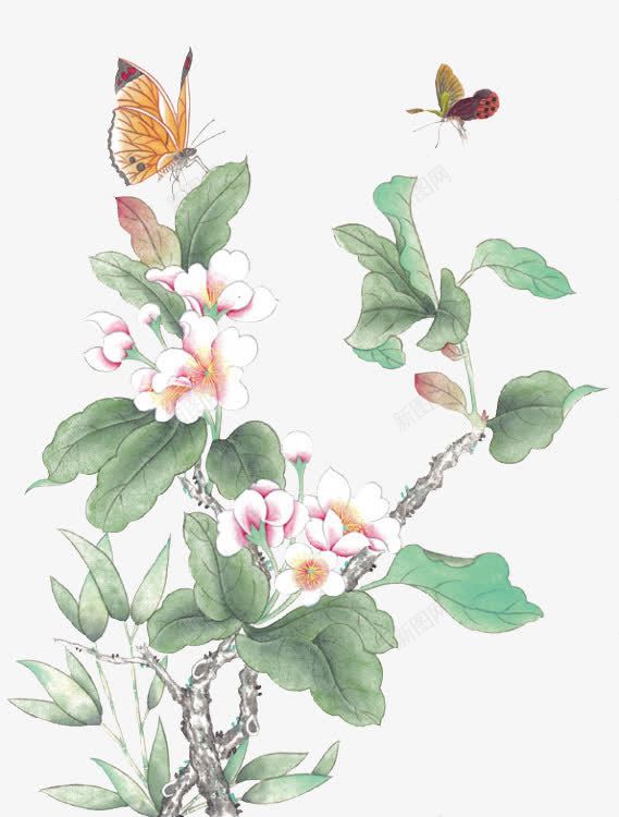 花枝png免抠素材_新图网 https://ixintu.com 工笔画 树叶 蝴蝶