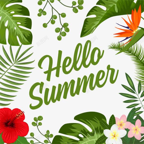 手绘你好夏天png免抠素材_新图网 https://ixintu.com 你好 夏天 夏季 手绘 热带植物