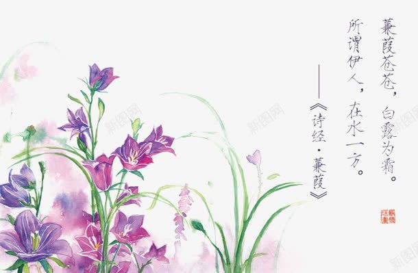 诗经花朵插画配图png免抠素材_新图网 https://ixintu.com 卡通 卡通插画 古风 唯美 手绘 花卉 诗歌 诗经 诗词