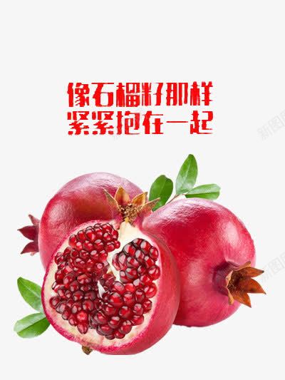 像石榴籽一样团结psd免抠素材_新图网 https://ixintu.com 一条心 中国新疆 团结 新疆 民族 水果 石榴 石榴籽 红色