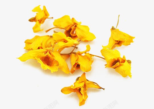石斛干花瓣png免抠素材_新图网 https://ixintu.com 密花石斛 干花 石斛干花 石斛花 花瓣 黄色干花