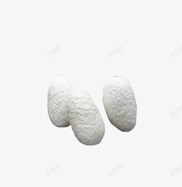 实物蚕丝球展示png免抠素材_新图网 https://ixintu.com 天然蚕丝 桑蚕丝 桑蚕文化 白色蚕丝 美容护肤 胶原蛋白 蚕丝 蚕丝球 蚕茧