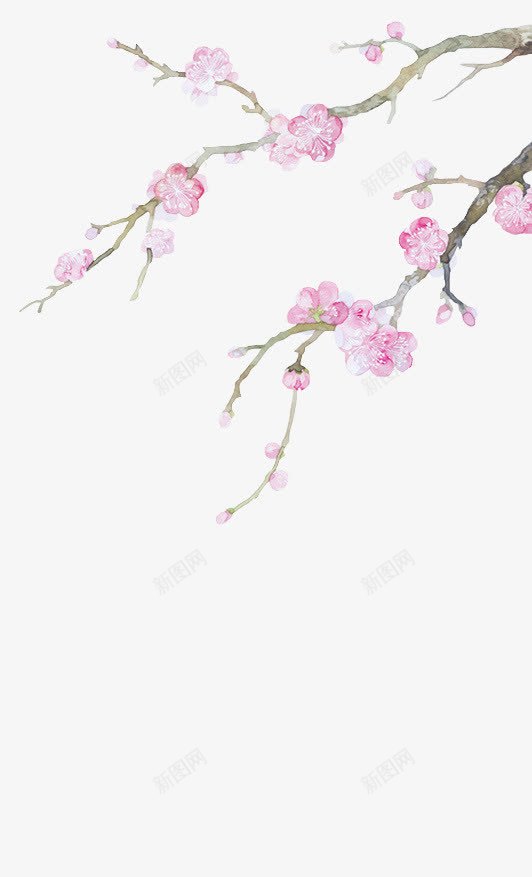 桃花手绘桃花白色桃花花枝png免抠素材_新图网 https://ixintu.com 手绘 桃花 白色 花枝
