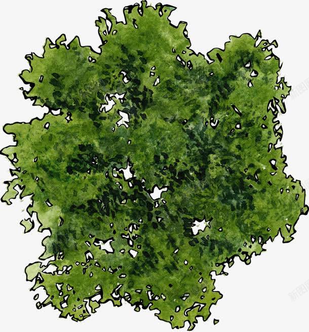 绿色树的俯视图png免抠素材_新图网 https://ixintu.com ps植物平面贴图 俯视图 俯视树木 树俯视图 植物 绿色 装饰