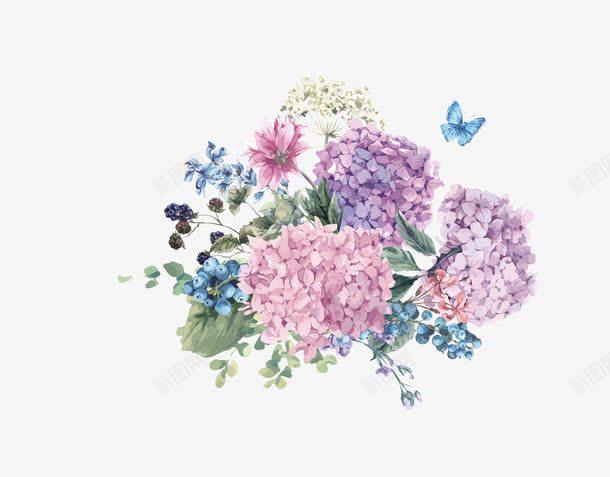 手绘花卉png免抠素材_新图网 https://ixintu.com 一簇花 底图 手绘花卉 水彩花卉 漂亮花卉 蓝莓 蝴蝶 装饰图案 设计底图