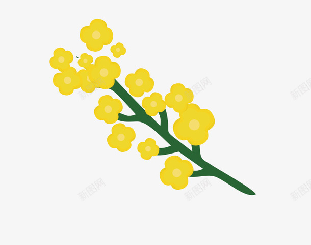 手绘可爱插图黄色清新油菜花png免抠素材_新图网 https://ixintu.com 可爱插图 手绘 油菜花 清新 简笔画 黄色