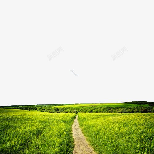 绿草地中直行的柏油路png免抠素材_新图网 https://ixintu.com 柏油路 直行 素材 绿草地的路 路