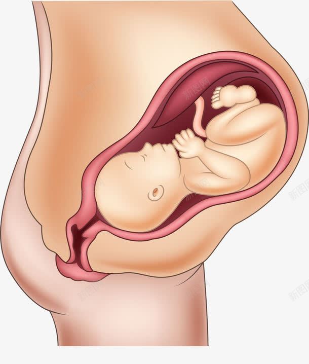 准备分娩png免抠素材_新图网 https://ixintu.com 产妇 准备分娩 分娩 孕妈 生孩子 高清免扣 高清免扣素材