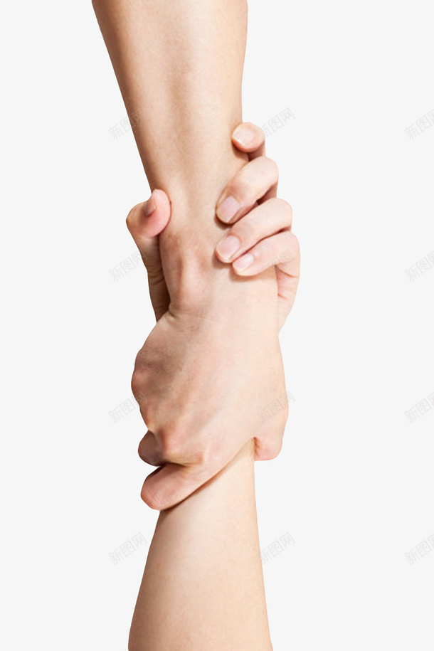 彼此不放弃手臂示意图png免抠素材_新图网 https://ixintu.com 上肢 手指 手掌 手臂 手臂示意图 拉着 放弃 粗壮 紧握 肢体 表示