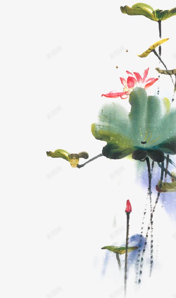 中国画荷花png免抠素材_新图网 https://ixintu.com 中国画荷花 写意 荷叶