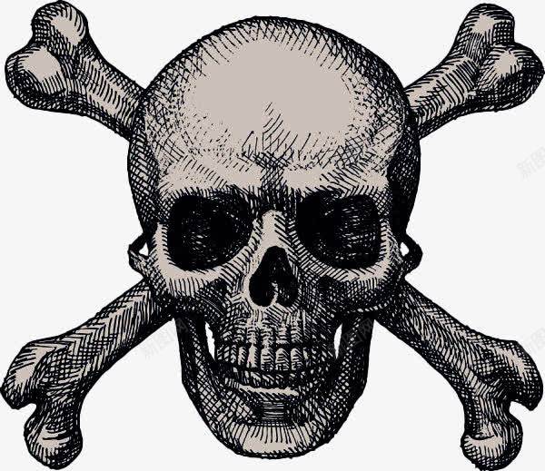 黑色纹理骷髅头毒品标志png免抠素材_新图网 https://ixintu.com 人体骨骼 毒品标志 骷髅头 黑色纹理