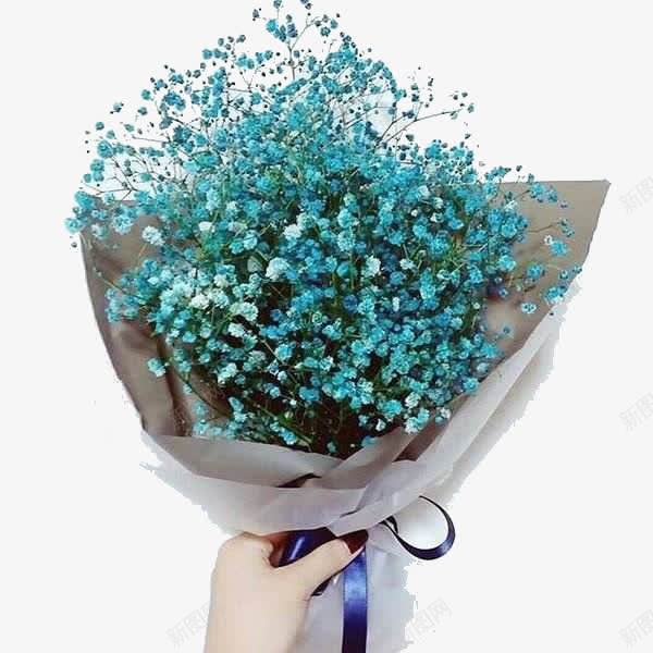 满天星花束png免抠素材_新图网 https://ixintu.com 手握 满天星 满天星花束 花束 蓝色