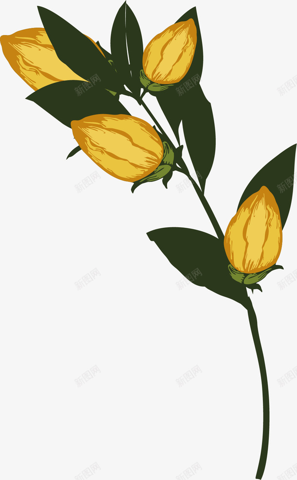 饱满的卡通荷荷巴png免抠素材_新图网 https://ixintu.com 卡通风格 扁平风格 植物 荷荷巴植物 饱满 饱满的荷荷巴