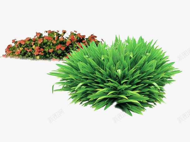 绿化植物psd免抠素材_新图网 https://ixintu.com 创意园林景观 创意园林景观图 园林设计 绿化带 花园设计