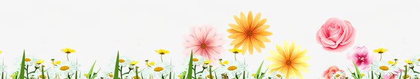 顶部色彩艳丽花草png免抠素材_新图网 https://ixintu.com 色彩艳丽 花草 顶部