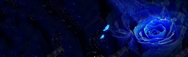 蓝色玫瑰梦幻星光背景bannerjpg设计背景_新图网 https://ixintu.com banner 星光 梦幻 玫瑰 背景 蓝色