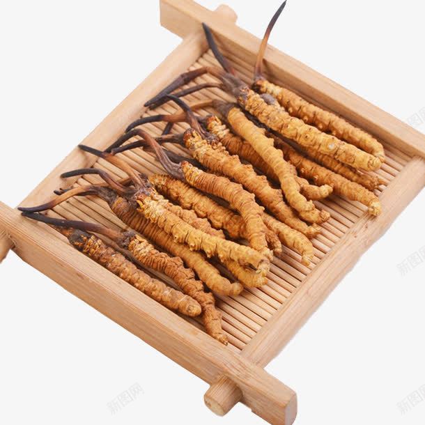 中药冬虫夏草png免抠素材_新图网 https://ixintu.com 中华人民共和国西藏自治区 中国西藏 中药 中药材 产品实物 北虫草 断草 新草 纯天然 药材 虫草 西藏那曲 道地虫草 野生