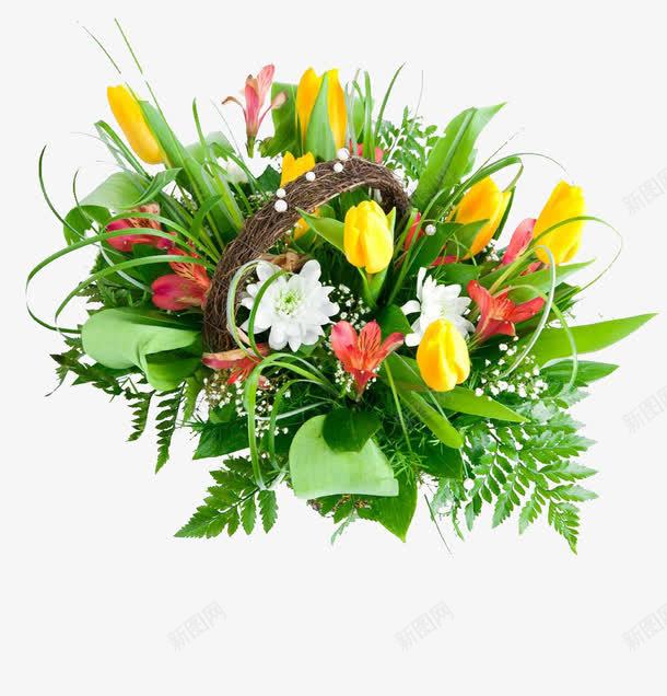 绿意盎然的花篮png免抠素材_新图网 https://ixintu.com 绿色 花儿 花朵 鲜花