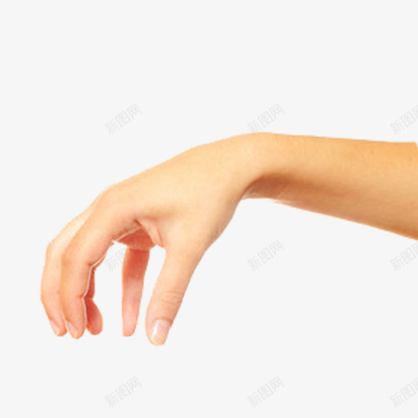 男人的手指png免抠素材_新图网 https://ixintu.com 手指 手指向下 男人手 男人的手 矢量手指 立体 简约