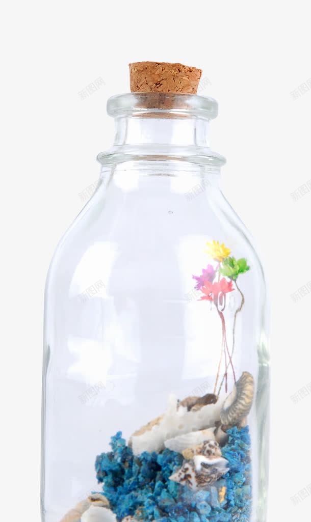 许愿瓶png免抠素材_新图网 https://ixintu.com 水草 海螺 玻璃瓶 花卉