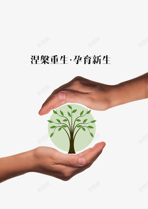 灾难后重生png免抠素材_新图网 https://ixintu.com 呵护 小生命 海报设计 涅槃重生 灾 灾难