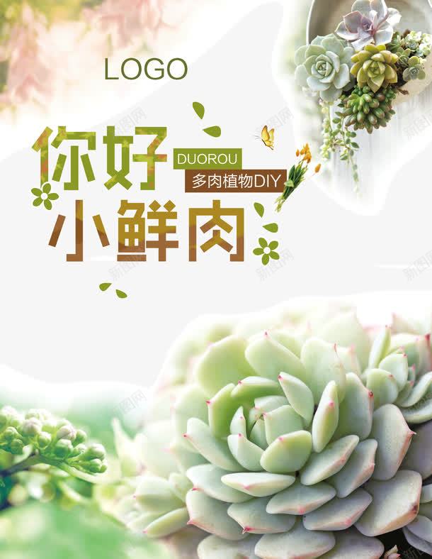 你好小鲜肉png免抠素材_新图网 https://ixintu.com 多肉 多肉植物 小清新