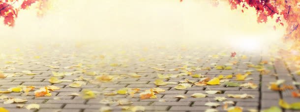 秋季户外背景jpg设计背景_新图网 https://ixintu.com 淘宝 淘宝广告banner 淘宝界面设计 秋季 秋季户外徒步鞋广 秋季户外徒步鞋广告图素材下载 落叶