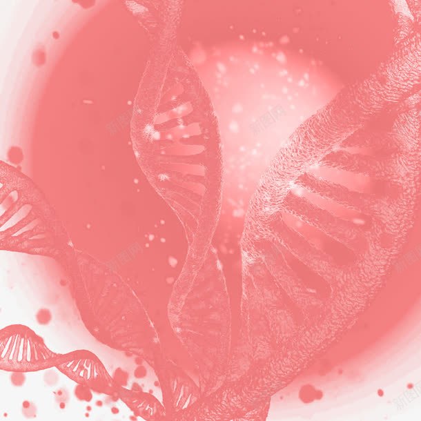 基因DNApng免抠素材_新图网 https://ixintu.com 双链结构 基因 基因DNA 基因组织 基因链